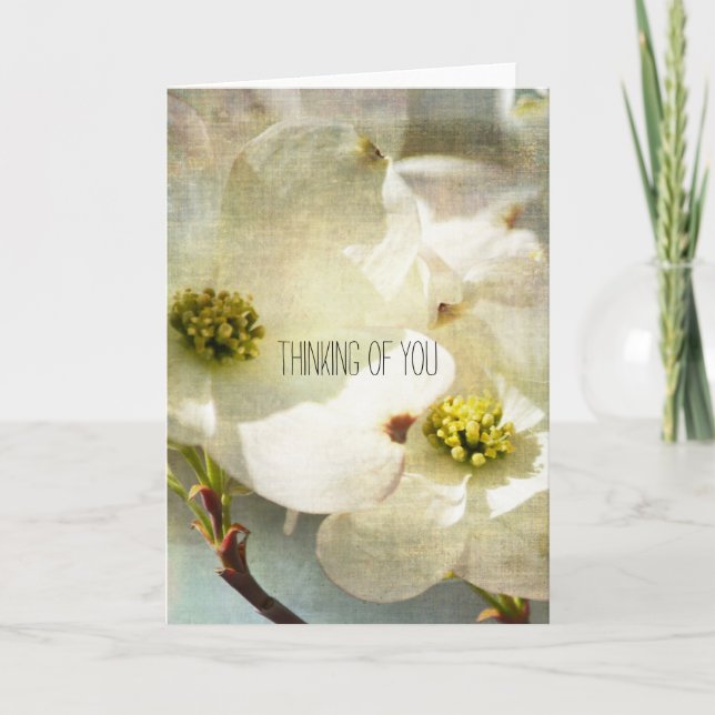 White Dogwood Flowers Thinking of you Card (Front)