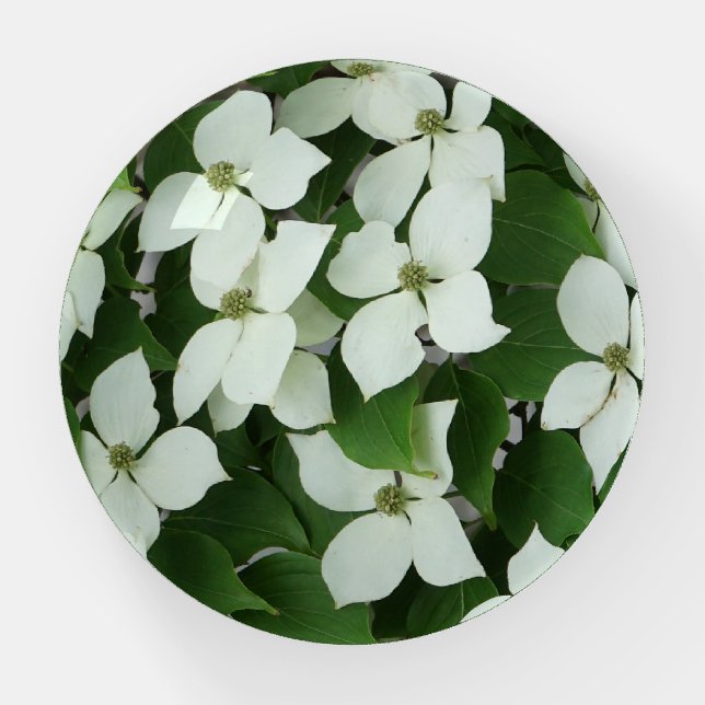 White Dogwood Paperweight (Front)