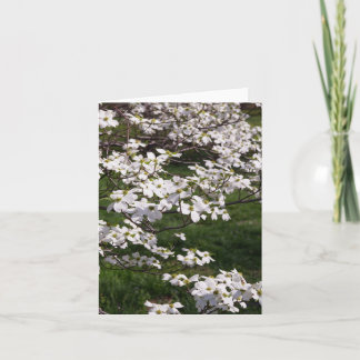 White Dogwood Thank You Card