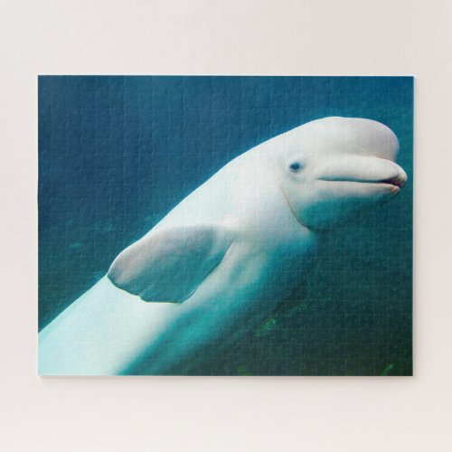 White Dolphin Jigsaw Puzzle