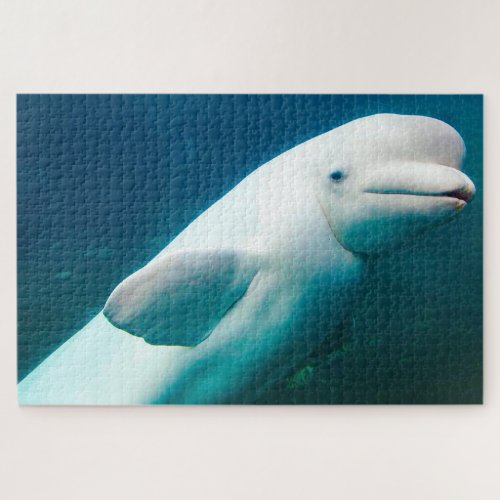 White Dolphin Jigsaw Puzzle