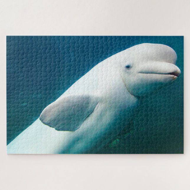 White Dolphin Jigsaw Puzzle (Horizontal)