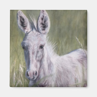 White donkey in the grass magnet