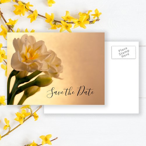 White Double Daffodil Spring Wedding Save the Date Announcement Postcard