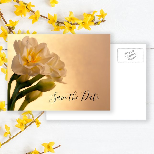 White Double Daffodil Spring Wedding Save the Date Announcement Postcard (Creator Uploaded)