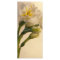 White Double Daffodils Spring Wedding Program