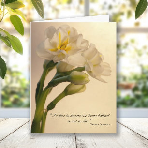 White Double Daffodils Sympathy Thank You Card