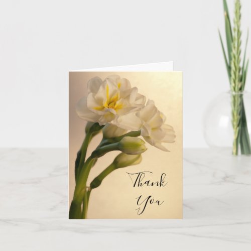 White Double Daffodils Thank You Note