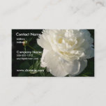 White Double Peony Business Card