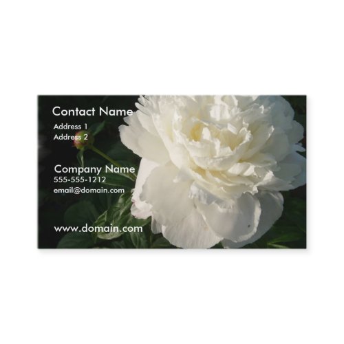 White Double Peony Business Card