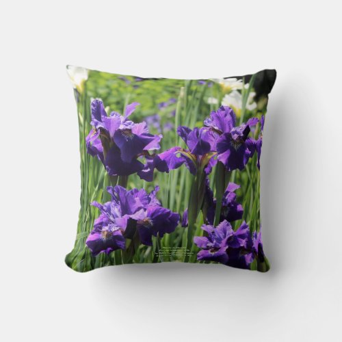 White  Double Purple Siberian Iris Throw Pillow