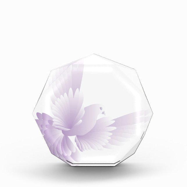 white dove in blue sky 3 award (Front)