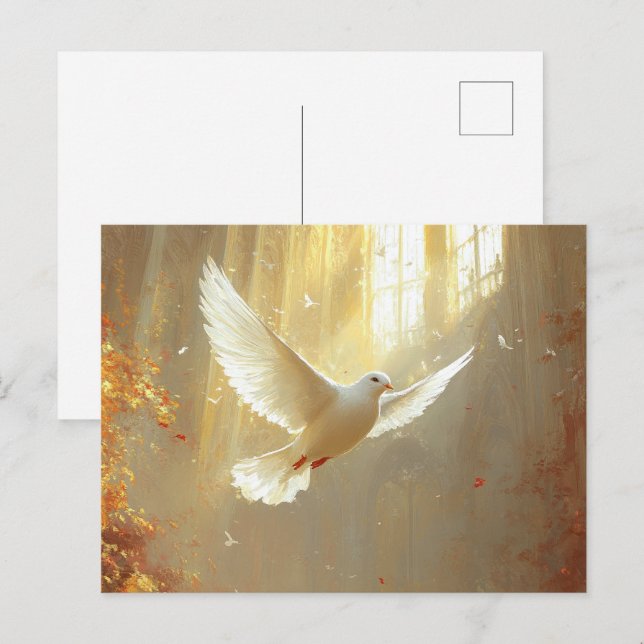 White Dove in the Light Painting Postcard (Front/Back)
