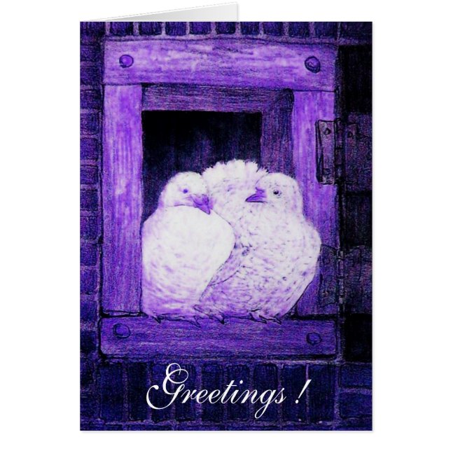 WHITE DOVES AT THE WINDOW, blue purple Cards (Front)