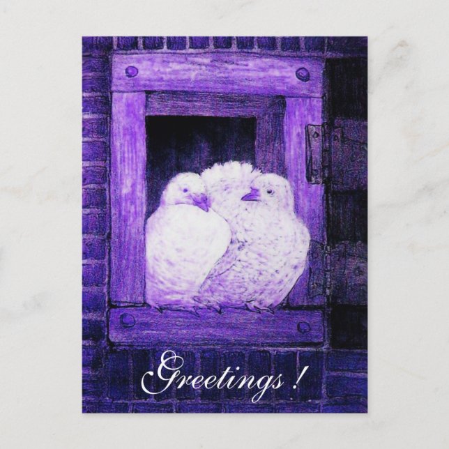 WHITE DOVES AT THE WINDOW blue purple Postcard (Front)