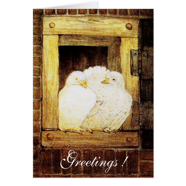 WHITE DOVES AT THE WINDOW, brown yellow Cards (Front)