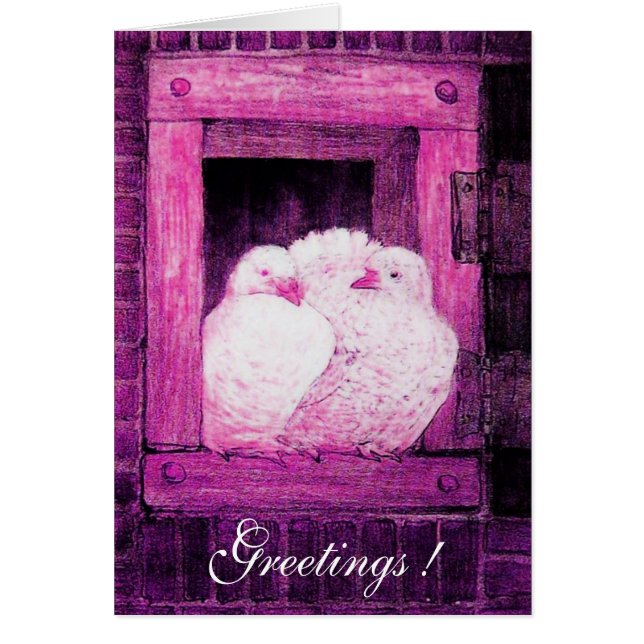 WHITE DOVES AT THE WINDOW, pink purple violet Cards (Front)