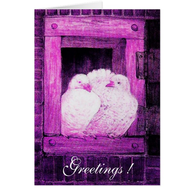 WHITE DOVES AT THE WINDOW, pink purple violet Cards (Front)