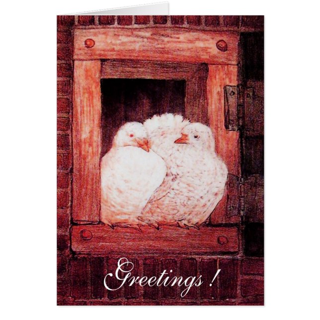 WHITE DOVES AT THE WINDOW, red pink Cards (Front)