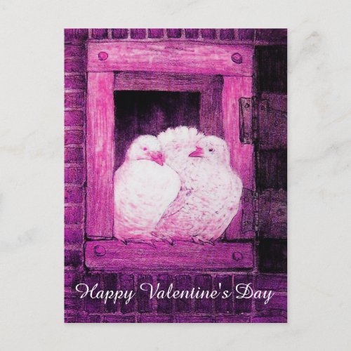 WHITE DOVES IN PINK WINDOW VALENTINES DAY HOLIDAY POSTCARD