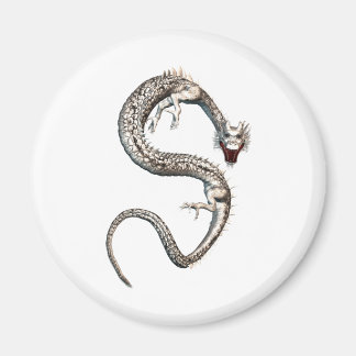 White Dragon Magnet