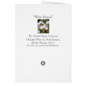 White Dragons (Back)