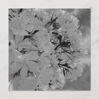 White Draped Floral Menu
