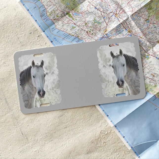 White dream horse    license plate (In Situ)