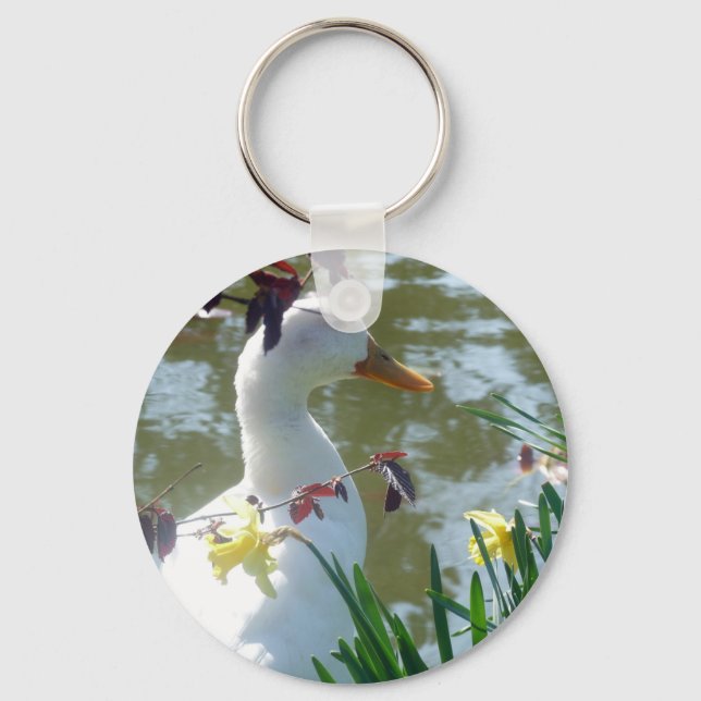 White Duck In Daffodils By Lake Keyring (Front)