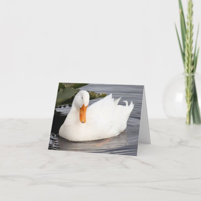 White Duck Photo Folded Note Card (Front)