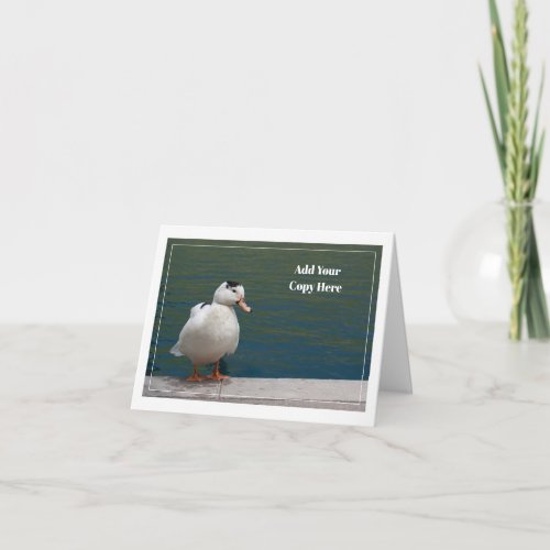 White Duck Photograph Blank Note Card