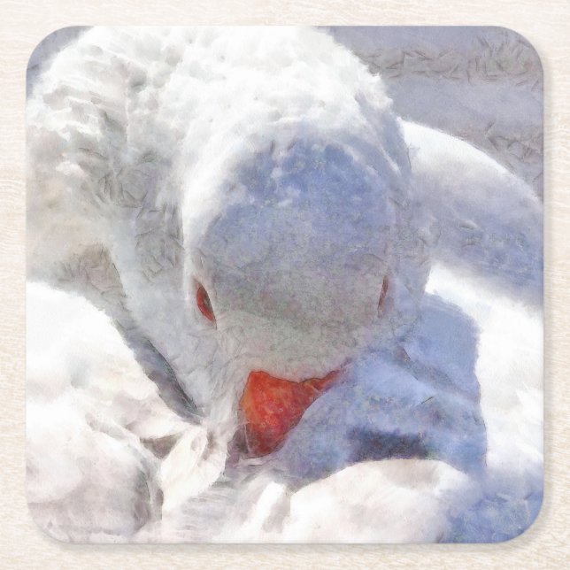 White Duck Preening Art Square Paper Coaster (Front)