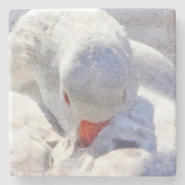 White Duck Preening Art Stone Coaster (Front)