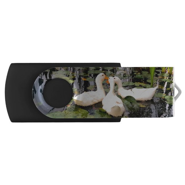 White ducks, lily pads, cattails, lake shore flash drive (Front)
