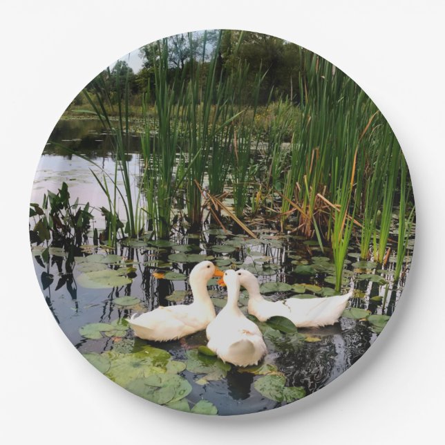 White ducks, lily pads, cattails, lake shore paper plates (Front)