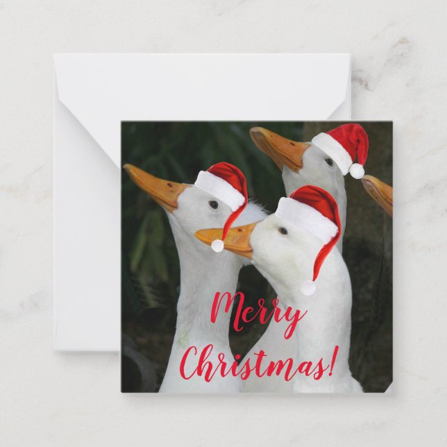 White Ducks Wearing Red Santa Hats Holiday Note Card (Front)