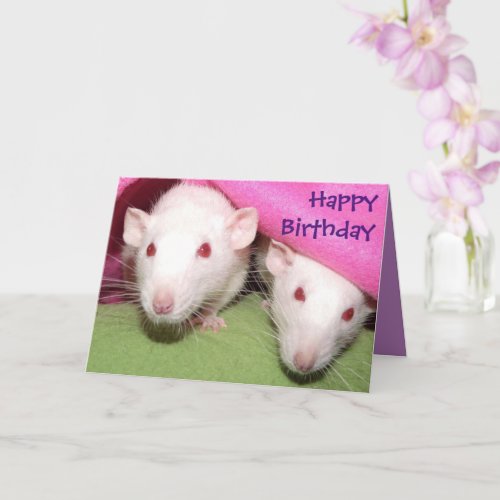 White Dumbo rat birthday card