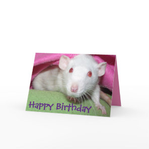 White Dumbo rat birthday card