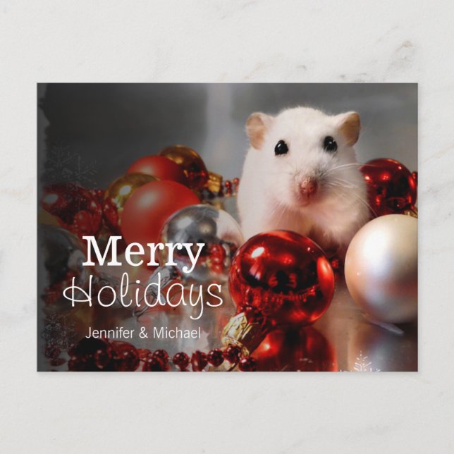 White dwarf hamster Pompon Holiday Postcard (Front)