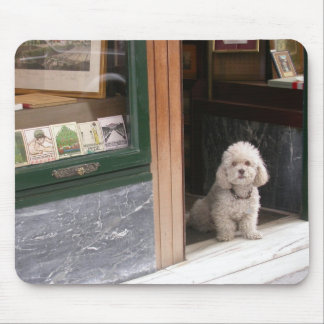 White Dwarf Poodle Mouse Pad