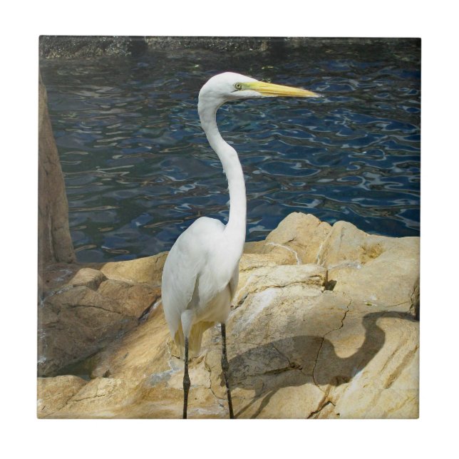 White Egret At The Beach Ceramic Tile (Front)