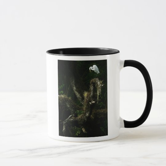 White Egret On Oak mug