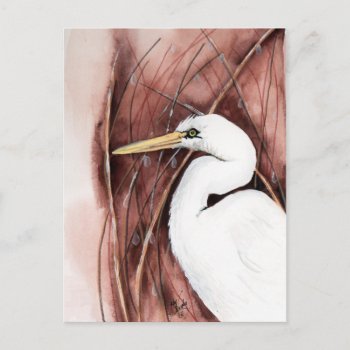 White Egret Postcard by glorykmurphy at Zazzle