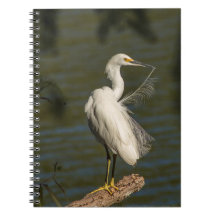 White Egret Spiral Photo Notebook