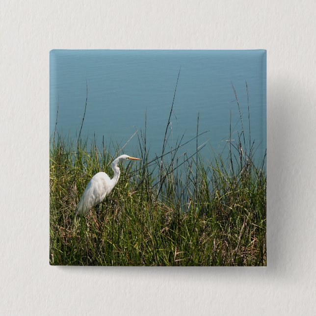 White egret standing in grass w water button (Front)