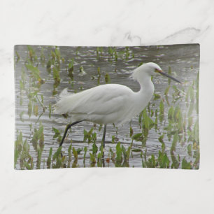 White Egret Water and Greens Photo Wading Bird Trinket Tray