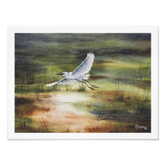 White Egret Watercolor  Photo Print