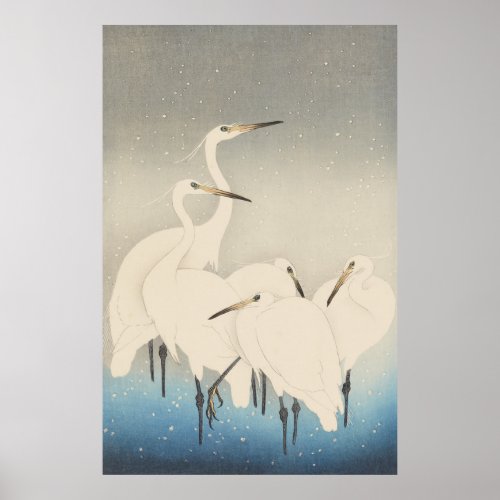 White Egrets Bird Vintage nature painting Poster