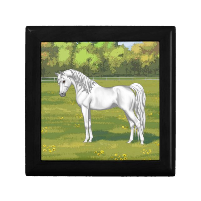 White Egyptian Arabian Horse in Summer Pasture Gift Box (Front)