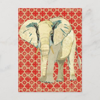 White Elephant Postcard by NicoleKing at Zazzle